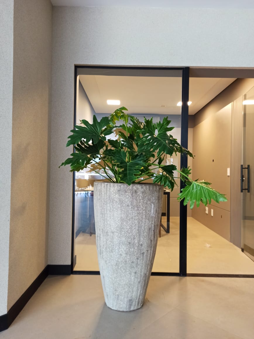 Africa Atlantis 28.jpg