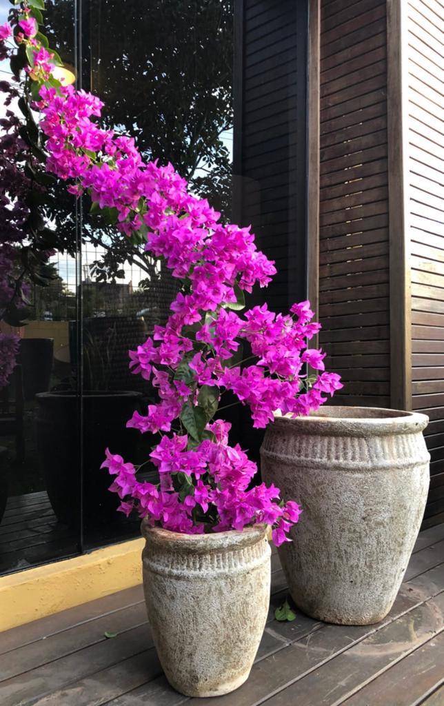 Budapeste Ferrugem 4.jpg