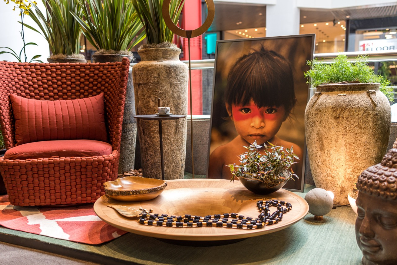 Benin Ferrugem 12.jpeg