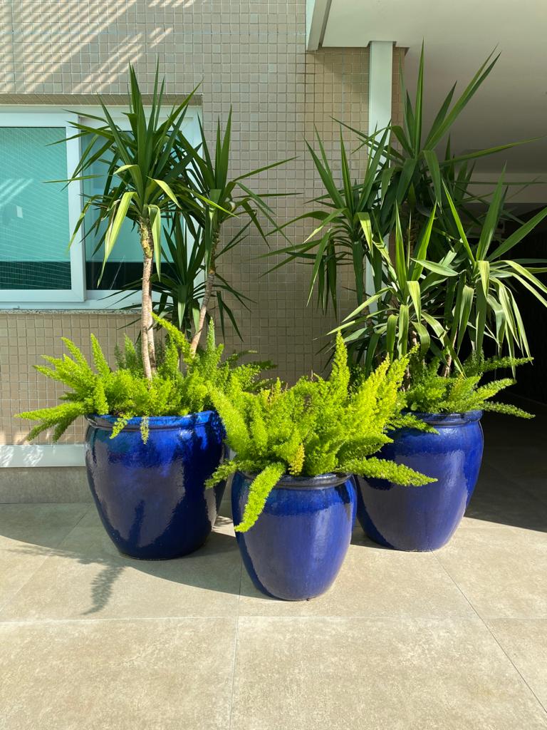 Argelia Azul Oceano 12.jpg