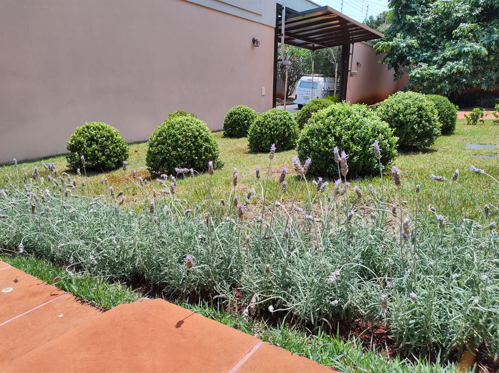 WhatsApp Image 2021-10-05 at 22.38.05.jpeg