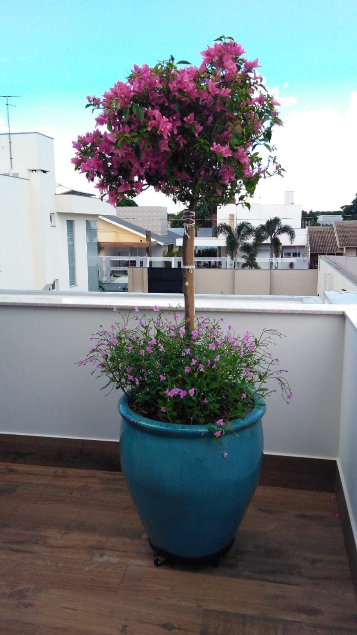 Argelia Azul Oceano 6.jpg