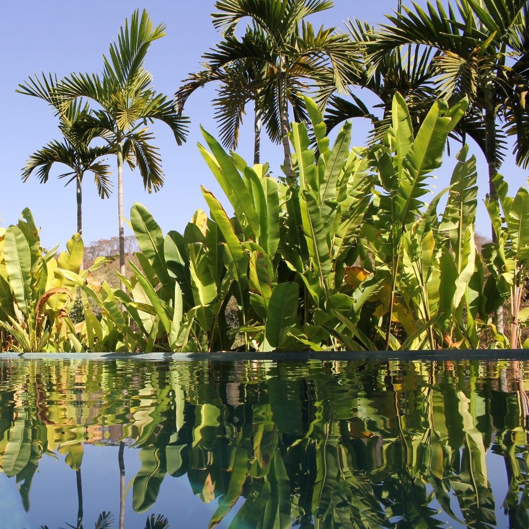 Design sem nome (4).jpg