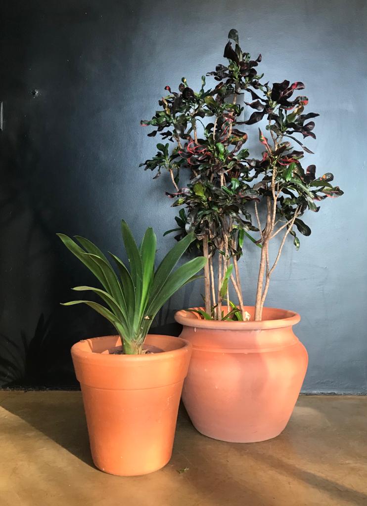 WhatsApp Image 2021-02-22 at 17.12.05.jpeg